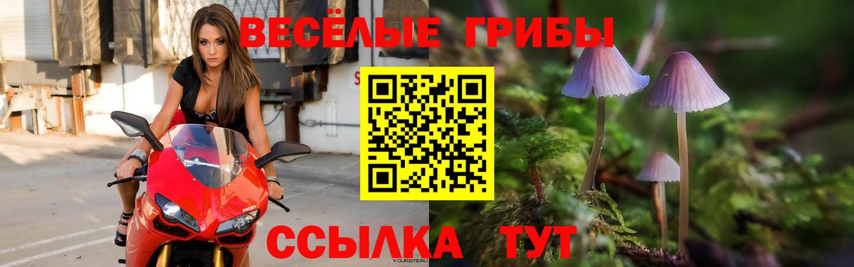 как найти закладки  Вход с VPN  Ижевск  Галлюциногенные грибы Cubensis 